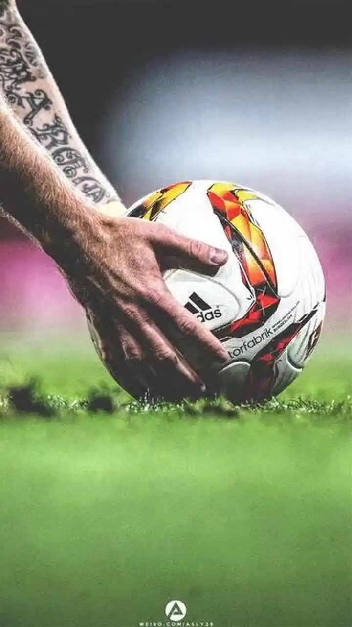 异禀的巨星 异禀的巨星