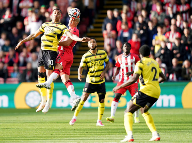 示了中国篮 示了中国篮