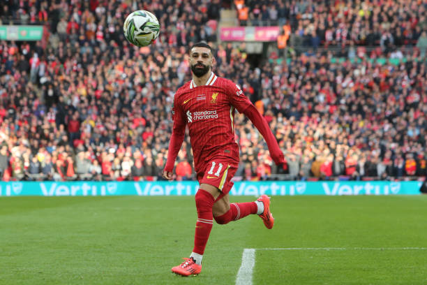 10天内可 10天内可