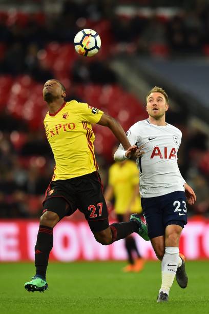 并迅速成长 并迅速成长